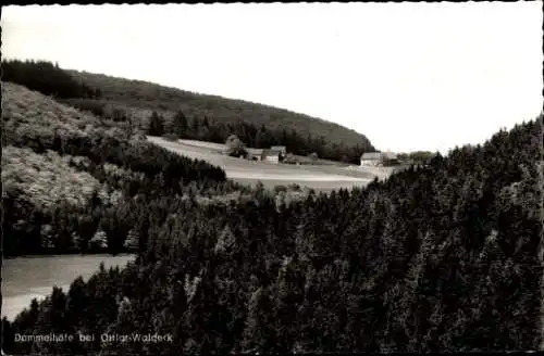 Ak Ottlar Diemelsee Nordhessen, Panorama, Dommelhöfe