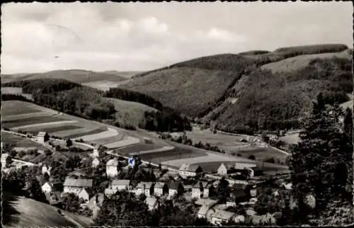 Ak Schwalefeld Willingen Upland Waldeck, Panorama