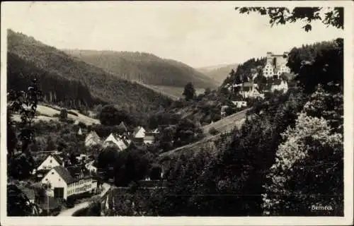 Ak Berneck Altensteig im Schwarzwald, Panorama