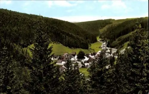 Ak Dürrenwaid Geroldsgrün Oberfranken, Blick von der Spindlersruh