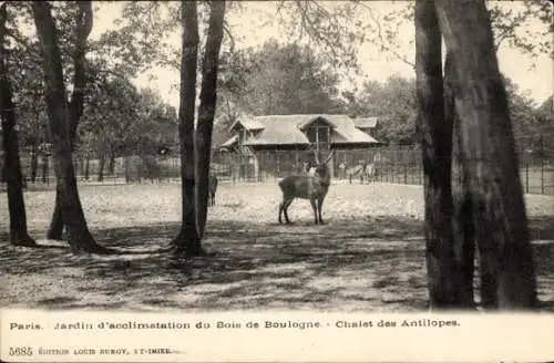 Ak Paris 16. Jahrhundert, Bois de Boulogne, Jardin d’acclimatization, Chalet des Antilopes