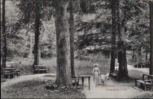 Ak St. Blasien im Schwarzwald, Tuskulum Park