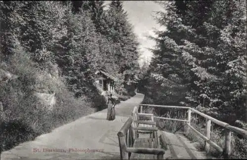 Ak St. Blasien im Schwarzwald, Philisophenweg