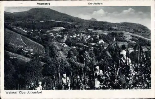 Ak Oberdollendorf Königswinter am Rhein, Gesamtansicht, Petersberg, Drachenfels