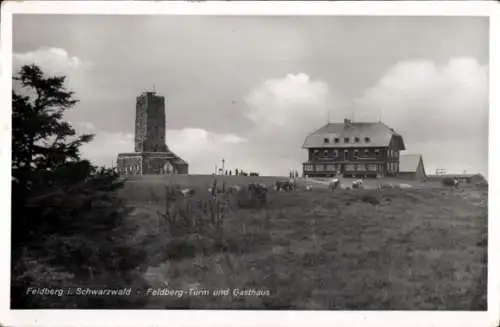 Ak Feldberg im Schwarzwald, Feldbergturm, Gasthaus