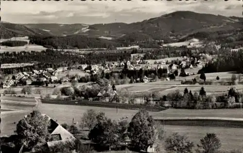 Ak Hinterzarten im Schwarzwald, Panorama