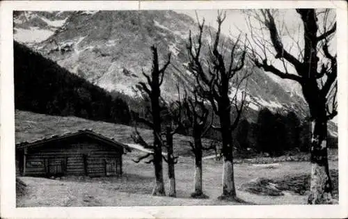 Ak Hochalm im Laliderertal, Karwendelgebirge