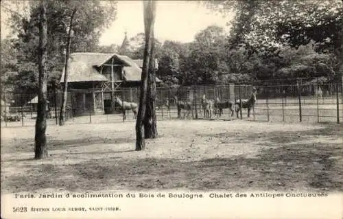 Ak Paris XVI, Bois de Boulogne, Jardin d’acclimatation, Chalet des Antilopes Uncteuses