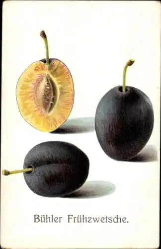 Ak Bühler Frühzwetsche, Pflaumen
