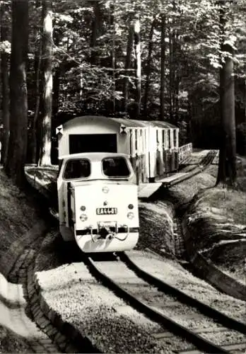 Ak Gera in Thüringen, Pioniereisenbahn, Strecke im Martinsgrund