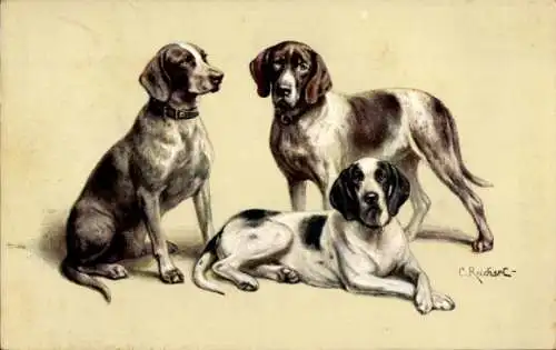 Künstler Ak Reichert, C., Drei Rassehunde, Jagdhunde