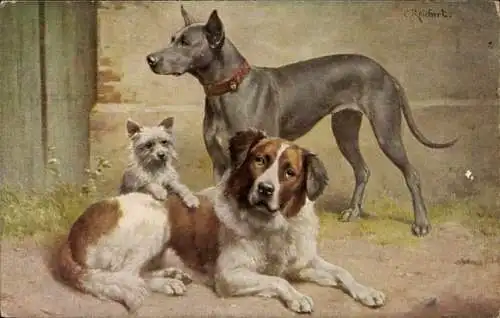 Künstler Ak Reichert, C., Bernhardiner, Dogge, schottischer Terrier