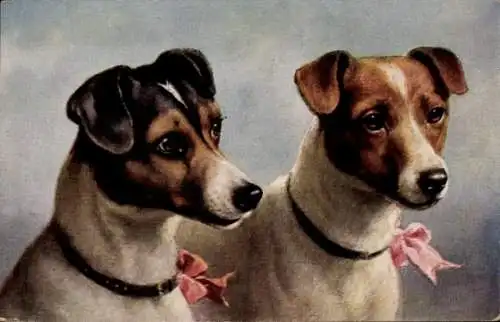 Künstler Ak Zwei Terrier, Rosa Schleifen am Halsband, Hundeportrait