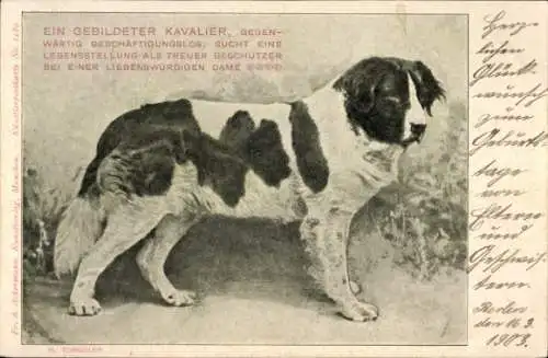 Künstler Ak Torggler, H., Hund, Tierporträt