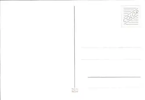 Ak Teddybär, Teddyfrau mit Hunden, Sonnenschirm, Blumen