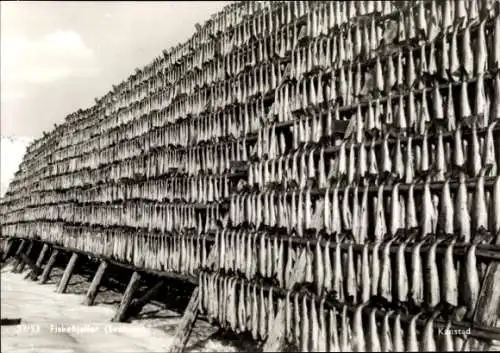 Ak Kanstad Norwegen, Fischfang, Trockenfisch