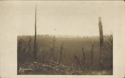 Foto Ak Argonnen, verbrannte Bäume, I WK