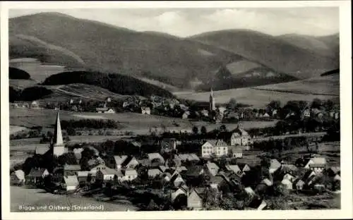 Ak Olsberg im Sauerland, Gesamtansicht mit Bigge