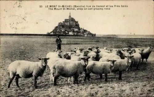 Ak Le Mont Saint Michel Manche, Vue de Genest, Les Pres Sales