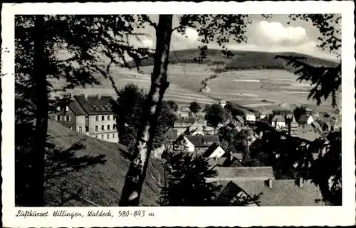Ak Willingen im Upland Waldeck Hessen, Panorama