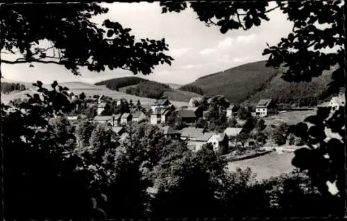 Ak Schwalefeld Willingen Upland Waldeck, Panorama