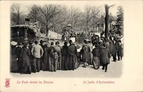 CPA Paris XVIe, Bois de Boulogne, Jardin d'acclimatation, La Foule devant les Phoques