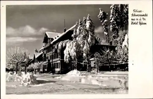 Ak Titisee Neustadt im Breisgau Hochschwarzwald, Hotel Bären, Winter