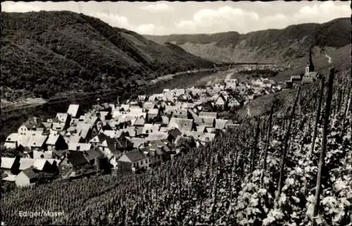 Ak Ediger Eller an der Mosel, Gesamtansicht, Weinreben