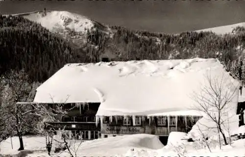 Ak Feldberg im Schwarzwald, Raimartihof, Gasthof Zum Feldsee, Winter