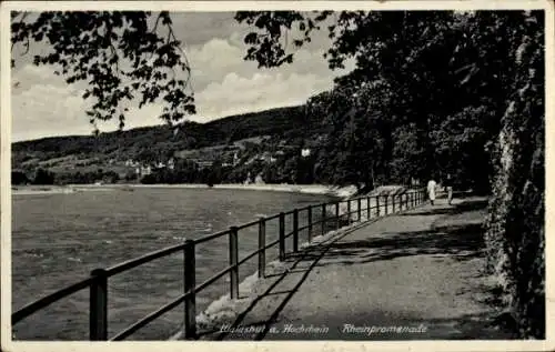 Ak Waldshut Tiengen am Hochrhein, Rheinpromenade