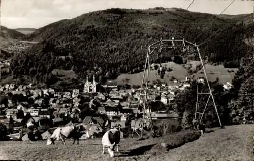 Ak Todtnau im Schwarzwald, Panorama, Seilbahn, Kühe
