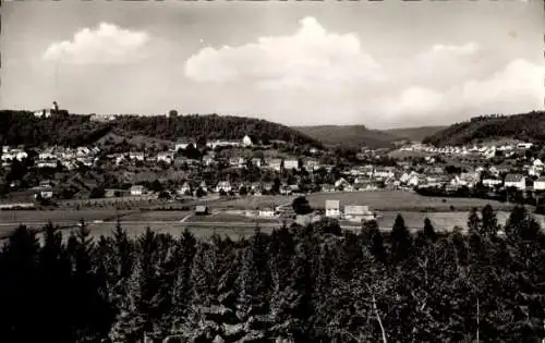 Ak Stühlingen im Schwarzwald Baden, Panorama, Schloss Hohenlupfen