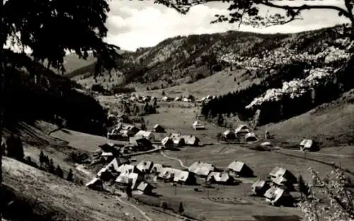 Ak Menzenschwand St. Blasien im Südschwarzwald, Blick auf den Ort