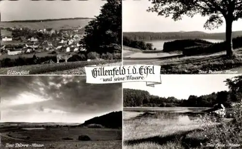 Ak Gillenfeld in der Eifel, Dürre-Maar, Holz-Maar, Pulver-Maar