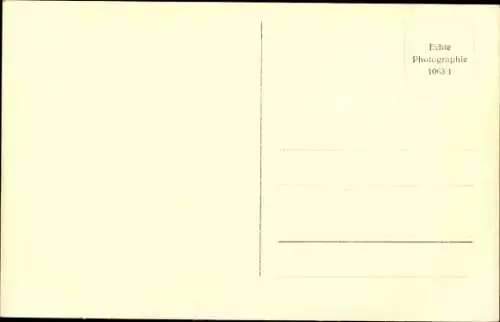 Ak Schafe, Jungtiere, Wiese