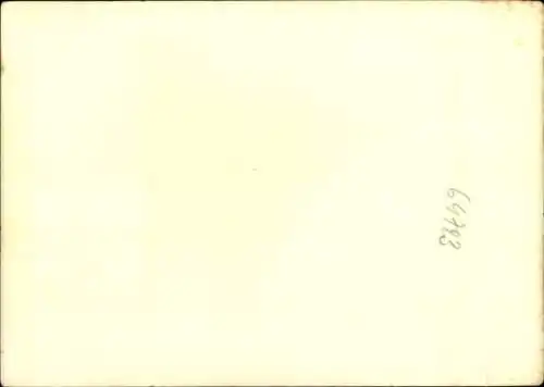 Foto Elsass?, Fest, Festzug, Mann mit Standarte