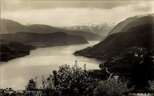 Ak Ulvik Hardanger Norwegen, Landschaftspanorama