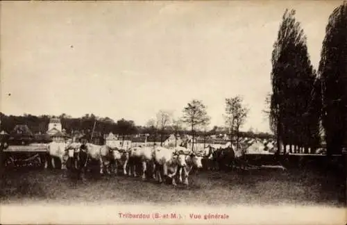 Ak Trilbardou Seine et Marne, vue generale