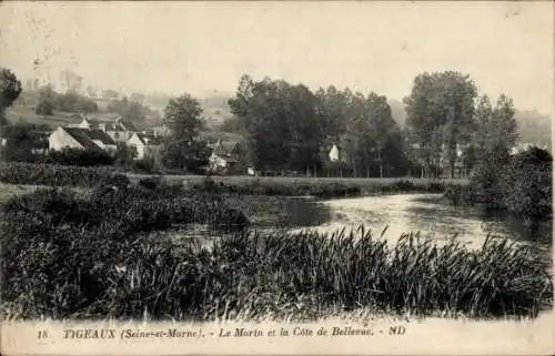 Ak Dammartin sur Tigeaux Seine et Marne, Morin, Cote de Bellevue