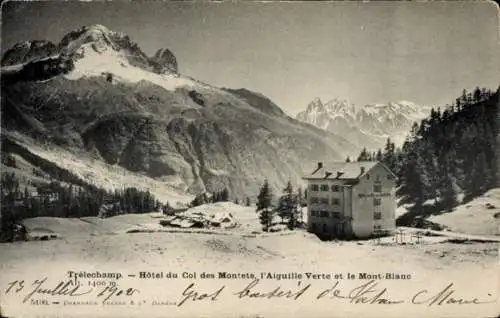 Ak Tréléchamp Haute Savoie, Hotel du Col des Montets, l'Aiguille Verte, Mont Blanc