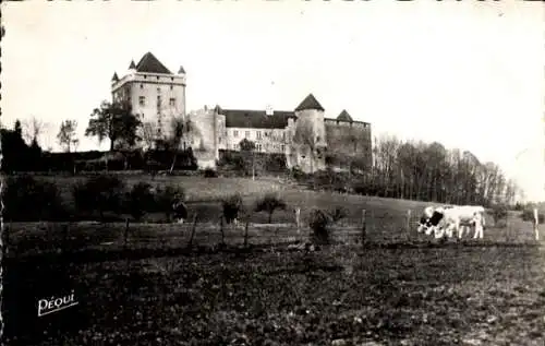 Ak Lons le Saunier Jura, Chateau du Pin