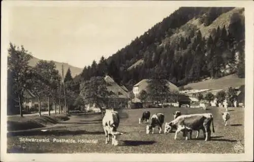 Ak Posthalde Breitnau im Schwarzwald, Höllental, Kühe auf der Weide