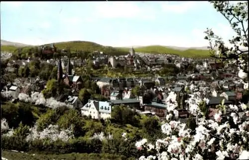 Ak Siegen in Westfalen, Blick vom Giersberg, Siegberg, Oberes Schloss, Nikolaiturm, Michaelkirche