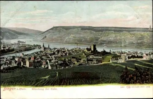 Ak Bingen am Rhein, Panorama, Mündung der Nahe