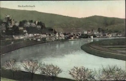 Ak Neckarsteinach in Hessen, Panorama