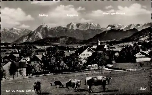 Ak Oy Mittelberg im Allgäu, Panorama, Kühe, Kindererholungsheim Haus Margit