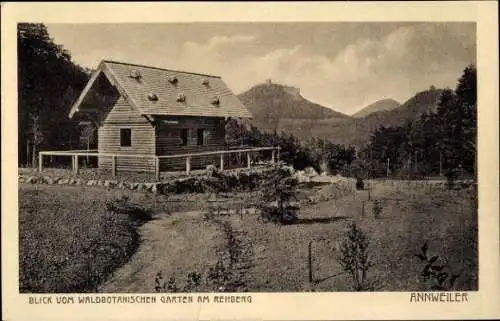 Ak Annweiler am Trifels Pfalz, Blick vom Waldbotanischen Garten am Rehberg