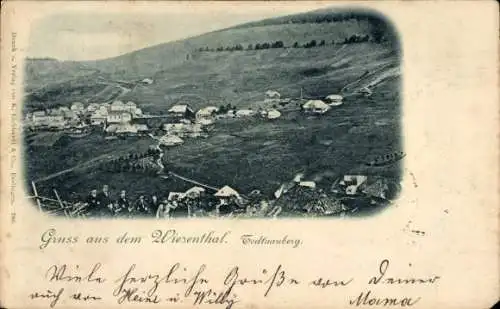 Ak Todtnauberg Todtnau im Schwarzwald, Panorama