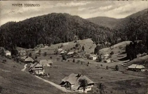 Ak  Hintertodtmoos Todtmoos im Hochschwarzwald, Panorama