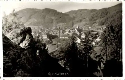 Ak Steinwiesen in Oberfranken, Panorama